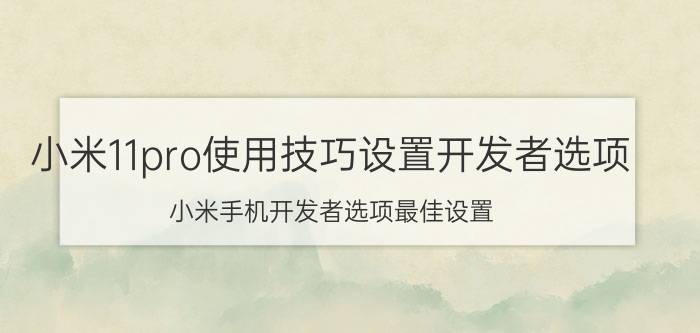 小米11pro使用技巧设置开发者选项 小米手机开发者选项最佳设置？